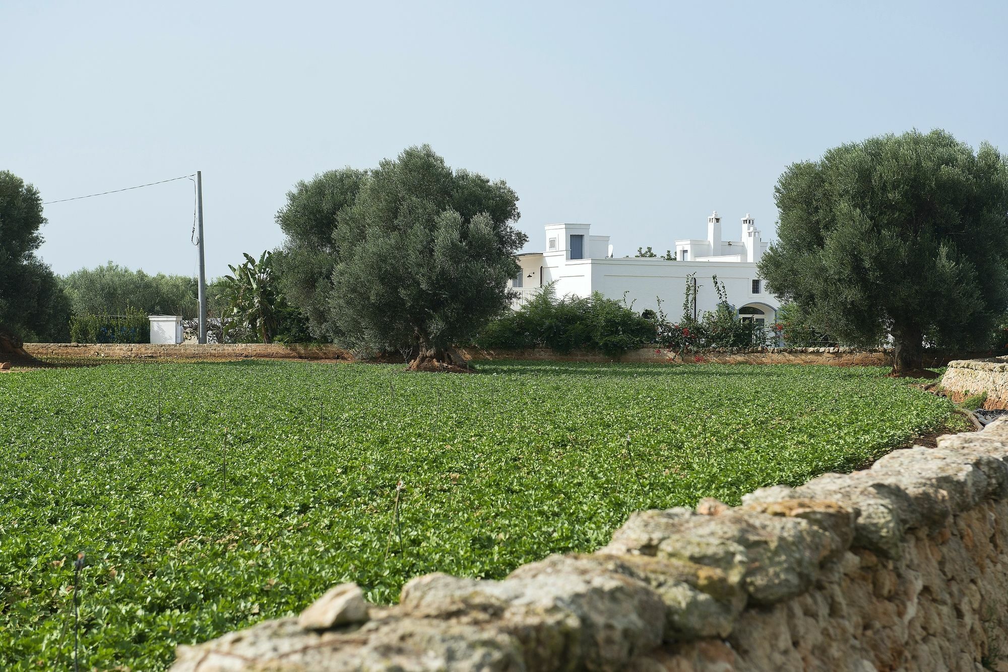 Masseria Don Luigi-Luxury Farmhouse Savelletri Exteriér fotografie